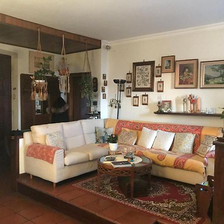 Le Pergole Villa Trieste Exteriör bild